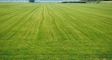 Gebze'de 152 metrekare arsa mahkemeden satılık