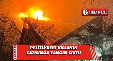 Gebze'deki villa alevlere teslim oldu