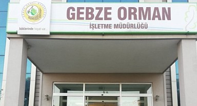 Gebze Orman İşletme Müdürlüğü yol yaptıracak
