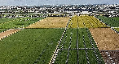 İzmit'te 228 metrekare tarla mahkemeden satılık