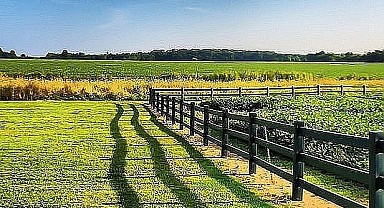 İzmit'te 3 bin 838 metrekare arsa mahkemeden satılık