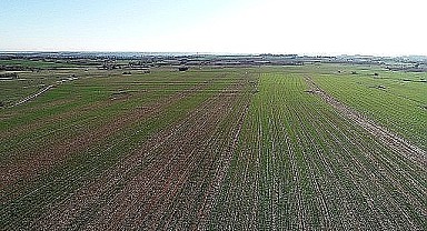 İzmit'te 9 bin 693 metrekare tarla mahkemeden satılık