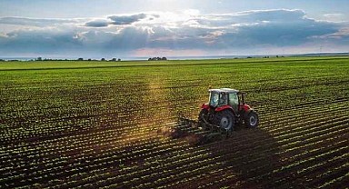 İzmit'te bin 738 metrekare tarla mahkemeden satılık