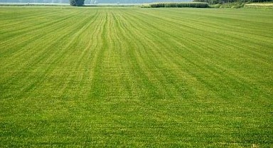 Kartepe'de bin 27 metrekare arsa mahkemeden satılık