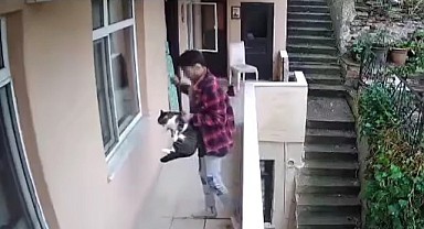 Kediye yumruk cezasız kalmadı, yakalandı