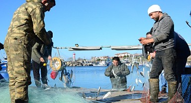 Kefken Limanı’nda çinekop bolluğu yaşanıyor