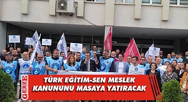 Türk Eğitim-Sen, Ankara'da çalıştay düzenliyor