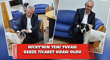 Deprem bölgesindeki minik dostumuzu Çiler sahiplendi