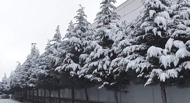 Dilovası'nda kar yağışı