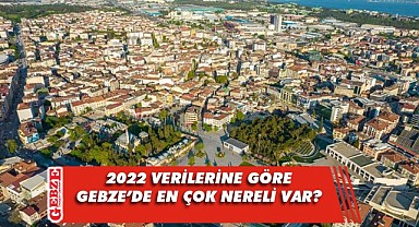 Gebze'de en çok nereli var, tıkla öğren!