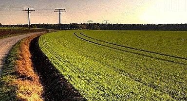 Kandıra'da bin 239 metrekare arsa mahkemeden satılık!