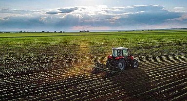 Kartepe'de 2 bin 487 metrekare tarla mahkemeden satılık