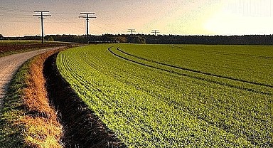 Kocaeli Merkez'de 14 bin 86 metrekare tarla icradan satılık