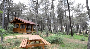 Orman parkı yerleri kiraya verilecek