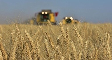 TMO, depremzede üreticiler için kota sınırını kaldırdı