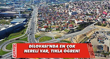 2022 verilerine göre Dilovası'nda en çok nereli var?