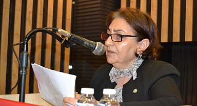 Ayla İlgün, İYİ Parti'den aday adayı oldu
