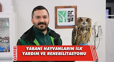 Binlerce yaban hayvanı hayata döndürüldü