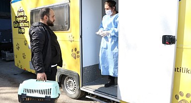 Büyükşehir sokak kedilerini ücretsiz kısırlaştırıyor