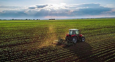İzmit'te 261 metrekare tarla mahkemeden satılık