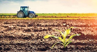 Kandıra'da 6 bin 23 metrekare tarla mahkemeden satılık