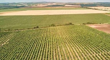 Kartepe'de 4 bin 25 metrekare arsa mahkemeden satılık