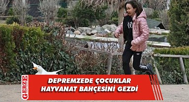 Darıca'ya gelen depremzede çocuklar hayvanat bahçesinde eğlendi