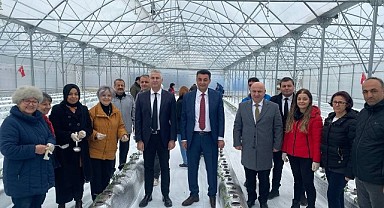 Darıca tarım literatürüne girecek!