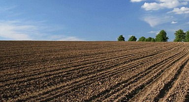 Gebze'de 3 bin 629 metrekare (hisseli) tarla icradan satılık