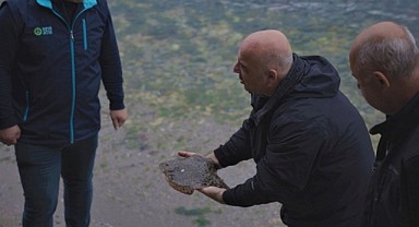 İzmit Körfezi'nde ağlara takılan balık şaşkına uğrattı