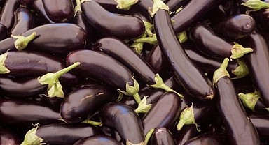 Patlıcan sapının bilinmeyen faydaları