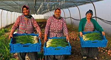 Seracılığı Geliştirme Projesi’nden verim alındı