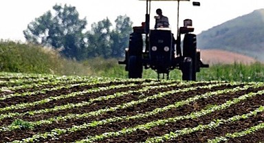 Tarım ve gıda sektöründe önemli gelişme: Sözleşmeli üretim yapılacak