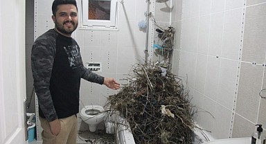 Tatilden evine dönen vatandaş, şok manzarayla karşılaştı