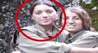 Yeşil Sol Parti Kocaeli milletvekili adayına terör gözaltısı