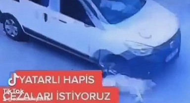 Gebze'de kaydedilen o görüntü infial yarattı