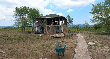 İzmit'te odun keserken vuruldu!