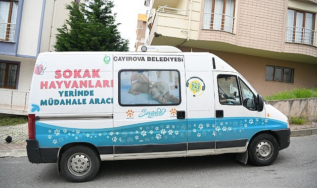 Sokak hayvanlarına yerinde müdahale edilecek