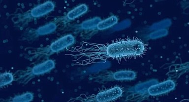 Yapay zekayla süper bakteriye karşı antibiyotik geliştirildi