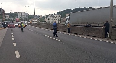 Yavru kediyi kurtarmak için trafiği durdurdular!