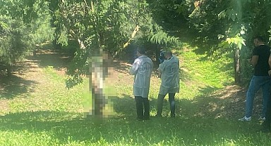 Çayırova'da ağaca asılı halde erkek cesedi bulundu!
