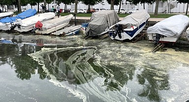 İzmit Körfezi'nde suyun rengi değişti!