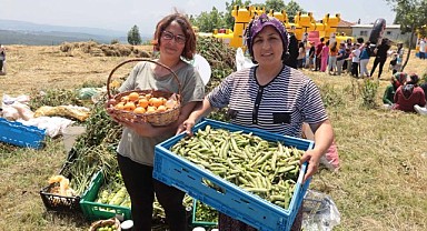 Kadın çiftçilerin yetiştirdiği arakanın ilk hasadı yapıldı