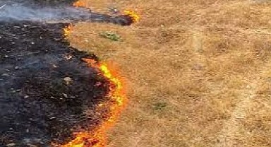 Kocaeli'de anız yakanlar hakkında suç duyurusunda bulunulacak