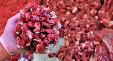 Kurban Bayramı öncesi kasaplara yönelik denetim arttı