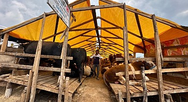 Kurban Pazarı'nda hareketlilik arttı