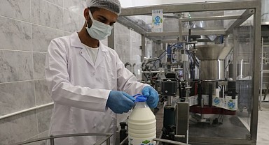 Belediyenin süt işletme tesisi üreticilere destek sağlıyor