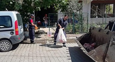 İzmit'te 300 ton kurban atığı bertaraf edildi
