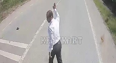 Kaplumbağanın ezilmemesi için yaptığı hareket takdir topladı