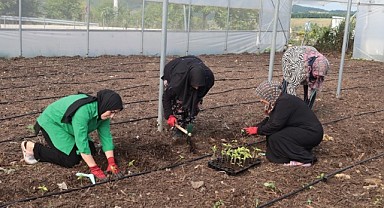 Kocaeli'de kadın girişimcilere tarımsal destek!